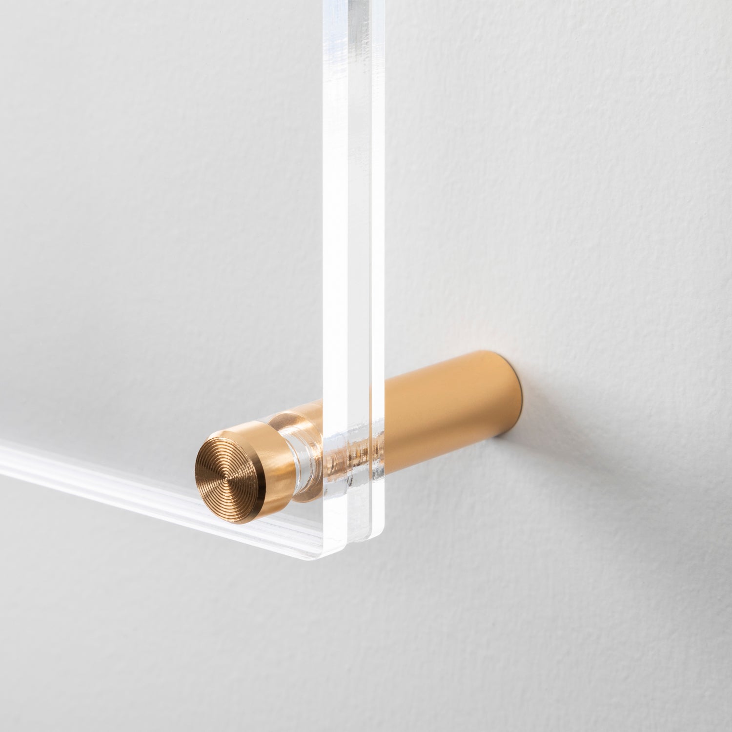 MARCO DE REVELACIÓN DE DISCO + VINILO