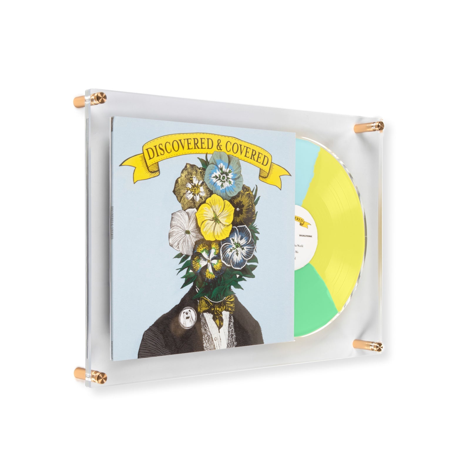 MARCO DE REVELACIÓN DE DISCO + VINILO