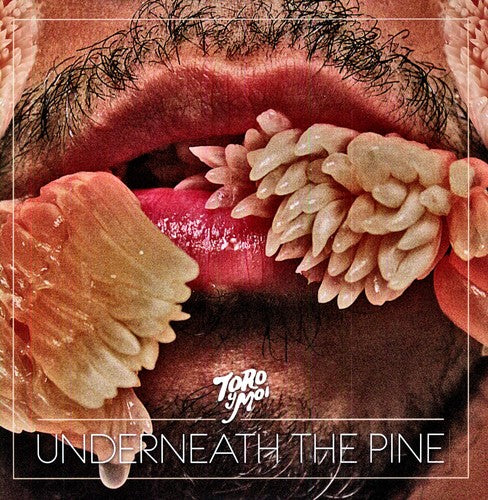 TORO Y MOI - UNDERNEATH THE PINE - VINYL LP