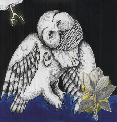 CANCIONES: OHIA - MAGNOLIA ELECTRIC CO. - EDICIÓN DELUXE - 2 LP - VINILO LP