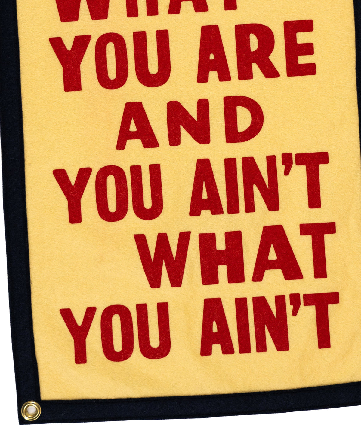 JOHN PRINE x OXFORD PENNANT - YOU ARE WHAT YOU ARE CAMP FLAG
