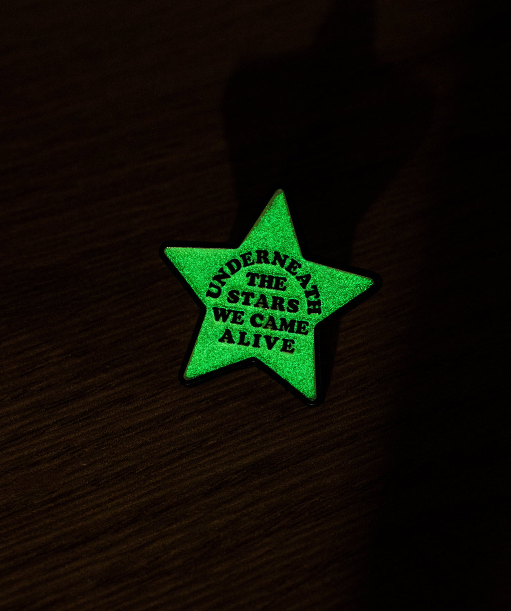 ALL TIME LOW x OXFORD PENNANT - ENAMEL PIN SET
