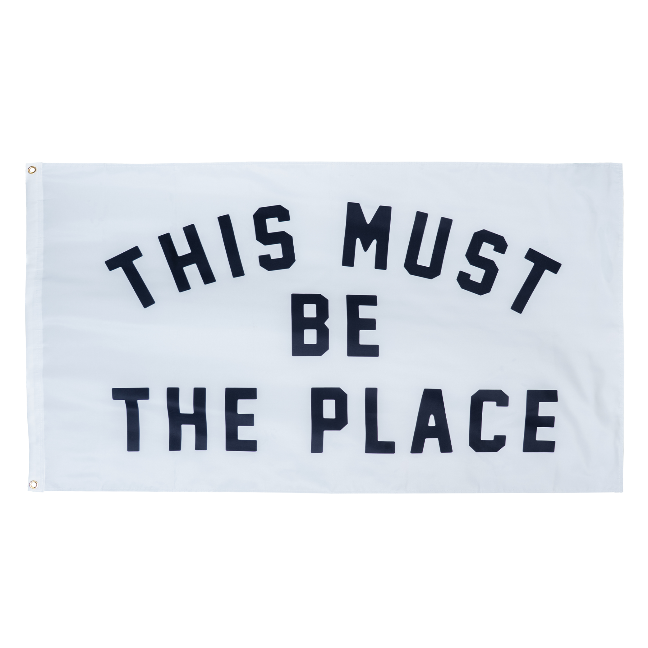 OXFORD PENNANT - THIS MUST BE THE PLACE OUTDOOR FLAG