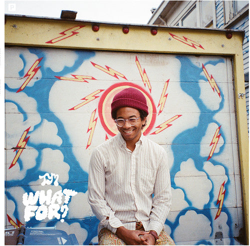 TORO Y MOI - WHAT FOR? - VINYL LP