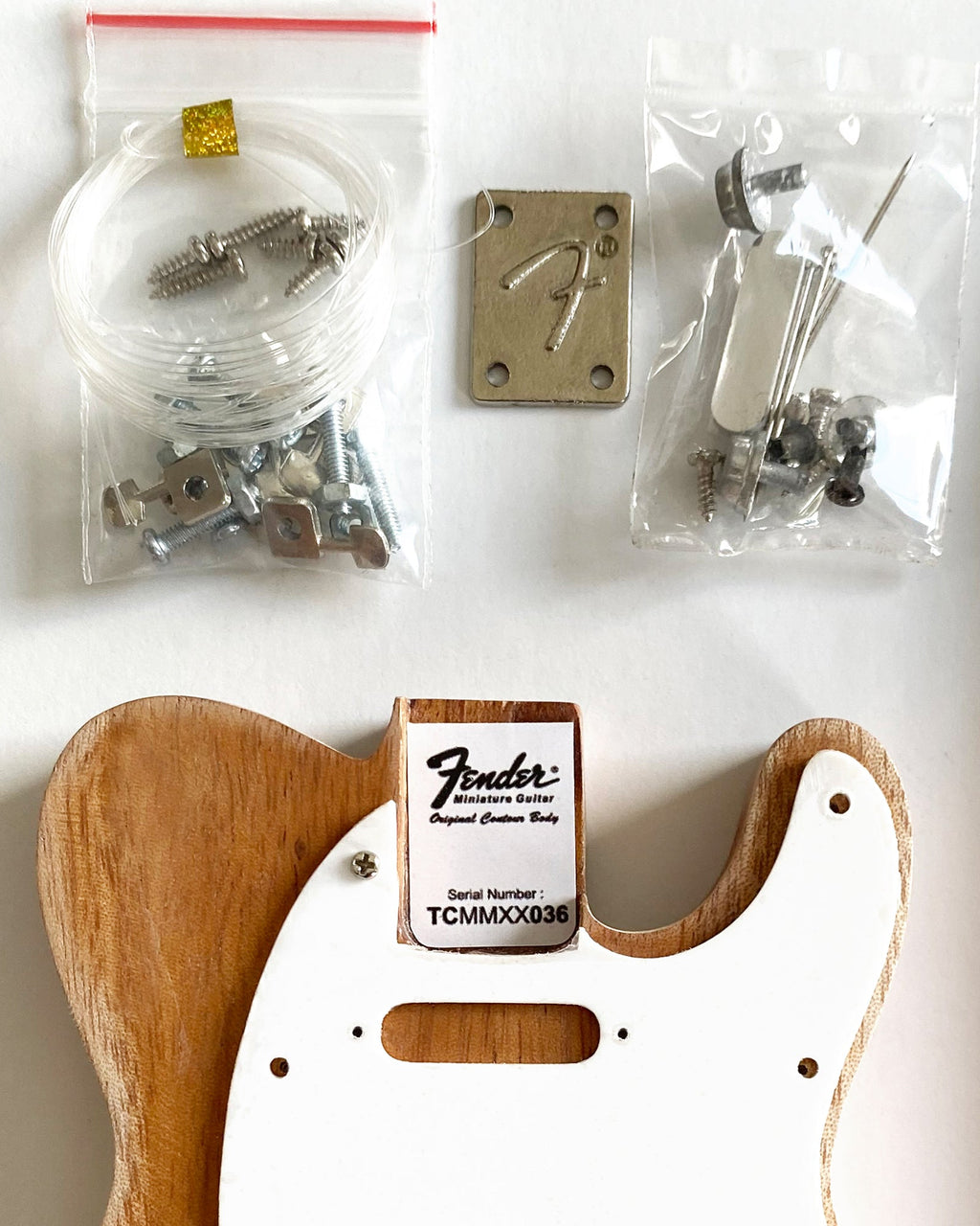 CONSTRUYE TU PROPIA FENDER™ TELECASTER™ - MINI GUITARRA
