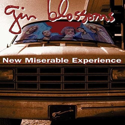 GIN BLOSSOMS - NEW MISERABLE EXPERIENCE - VINYL LP