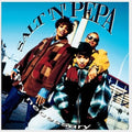 SALT-N-PEPA - VERY NECESSARY - 30TH ANNIVERSARY EDITION - 2-LP - VINYL LP