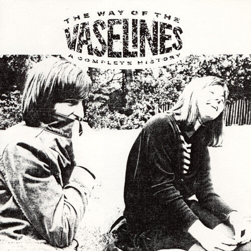 THE VASELINES - THE WAY OF THE VASELINES: A COMPLETE HISTORY - GREY COLOR - VINYL LP