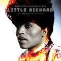 LITTLE RICHARD - SETTIN' THE WOODS ON FIRE: THE REPRISE RARITIES - VINYL LP