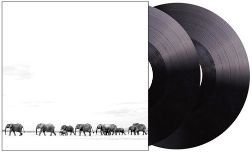 DAVE MATTHEWS BAND - ¿A DÓNDE VAS?: LOS SENCILLOS - 2 LP - VINILO LP