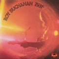 ROY BUCHANAN - SEGUNDO ÁLBUM - LP DE VINILO