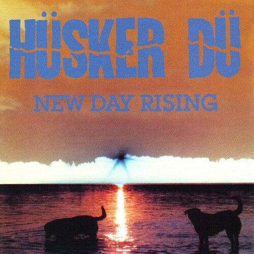 HUSKER DU - NEW DAY RISING - VINYL LP