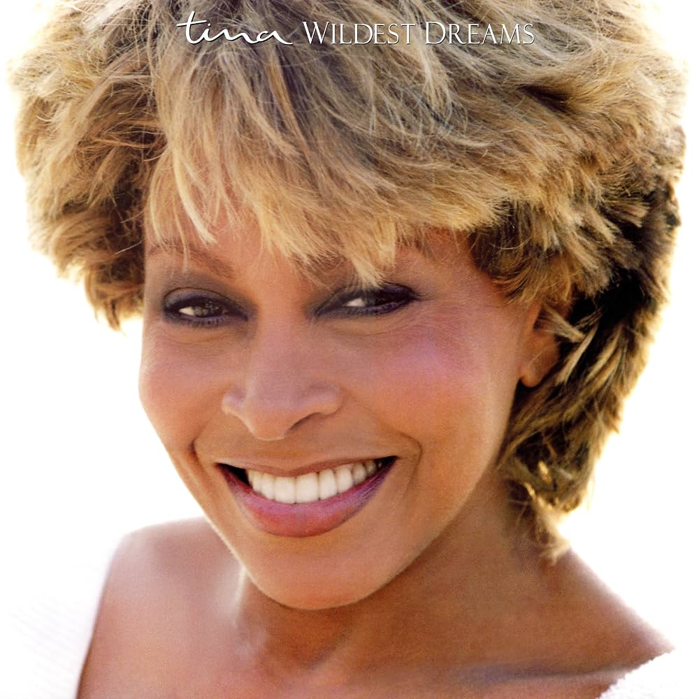 TINA TURNER - WILDEST DREAMS - 2-LP - VINYL LP