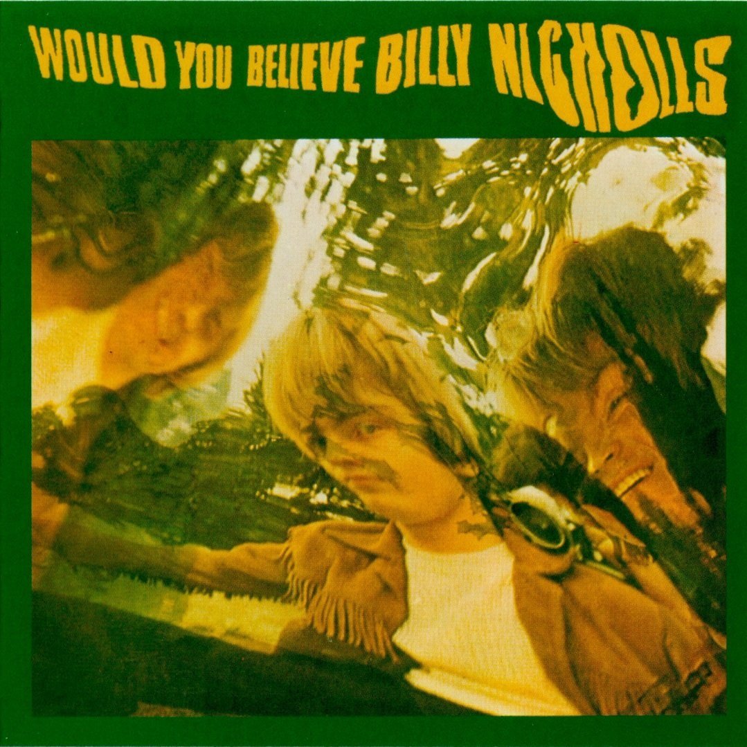 BILLY NICHOLLS - WOULD YOU BELIEVE - VINYL LP
