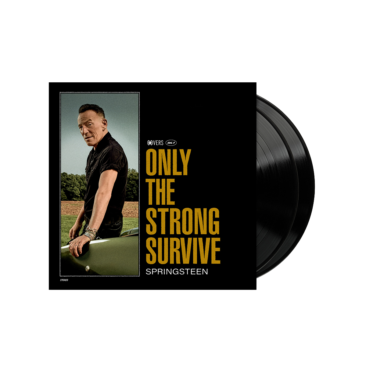 BRUCE SPRINGSTEEN - ONLY THE STRONG SURVIVE - 2-LP - VINYL LP