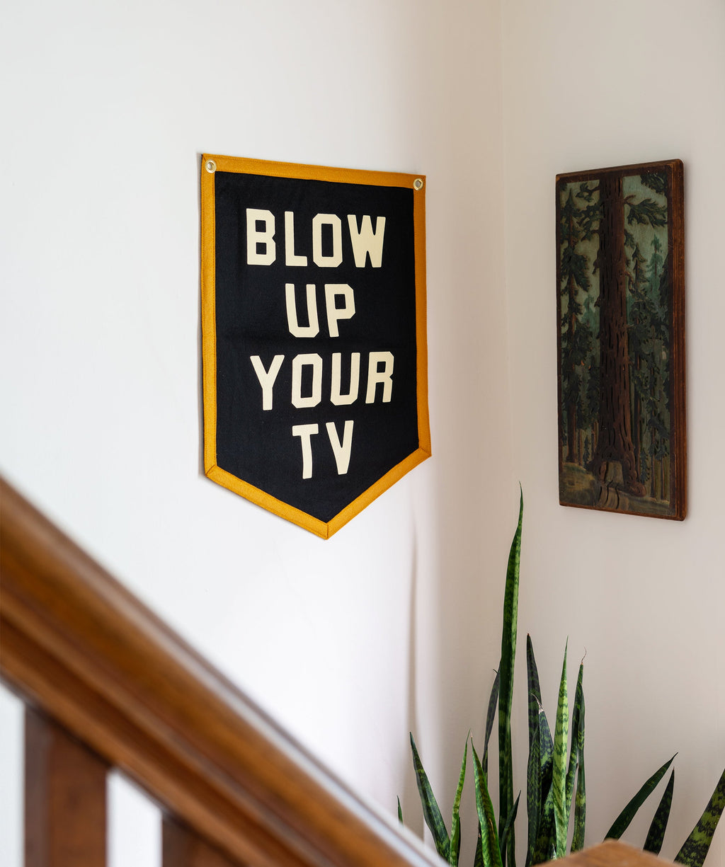JOHN PRINE x OXFORD PENNANT - BLOW UP YOUR TV CAMP FLAG