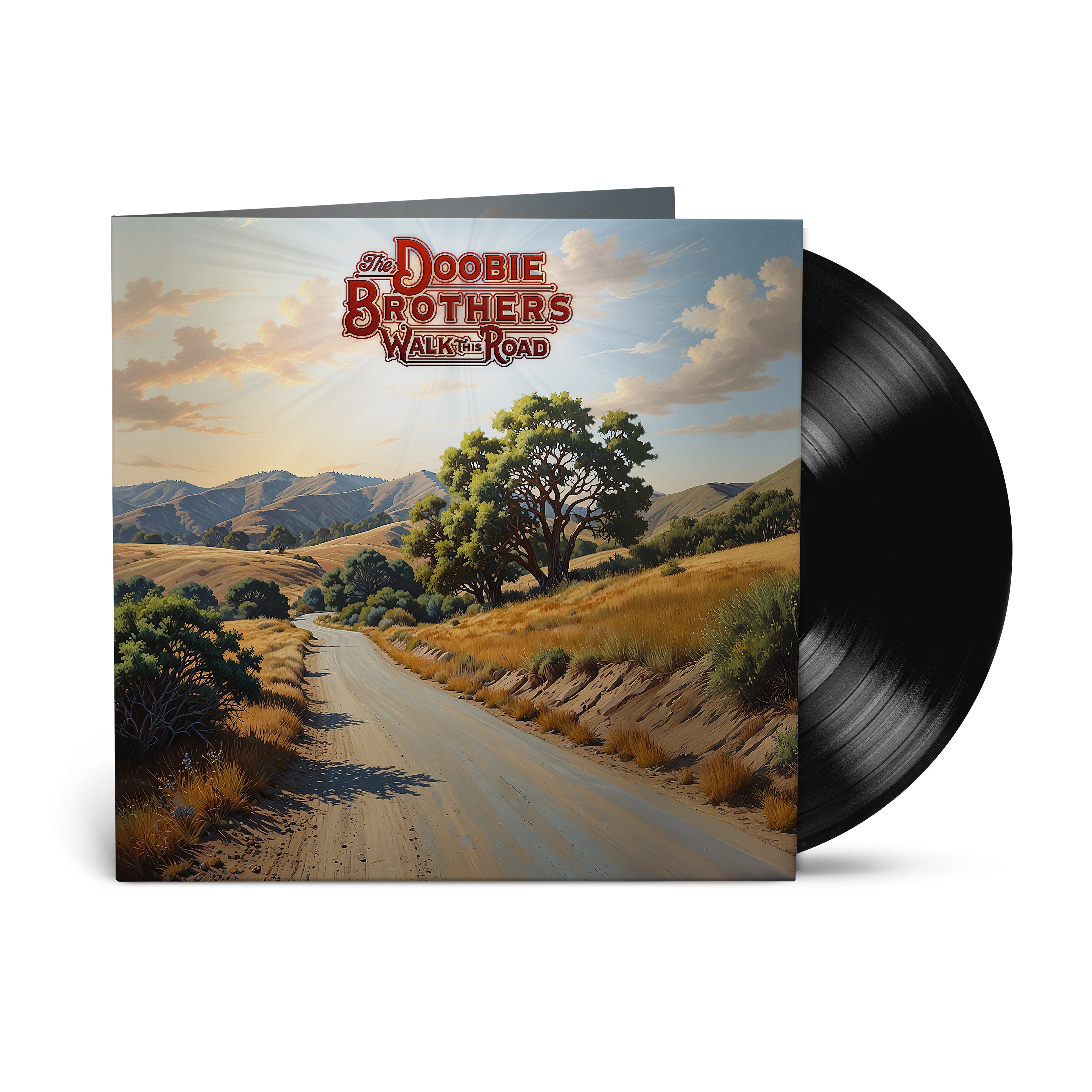 THE DOOBIE BROTHERS - WALK THIS ROAD - VINYL LP