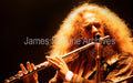JETHRO TULL - JAMES FORTUNE PHOTOGRAPHY