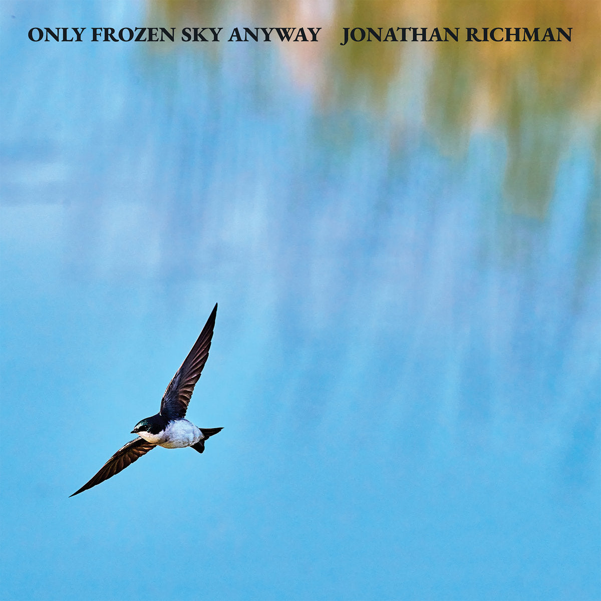 JONATHAN RICHMAN - ONLY FROZEN SKY ANYWAY - VINYL LP