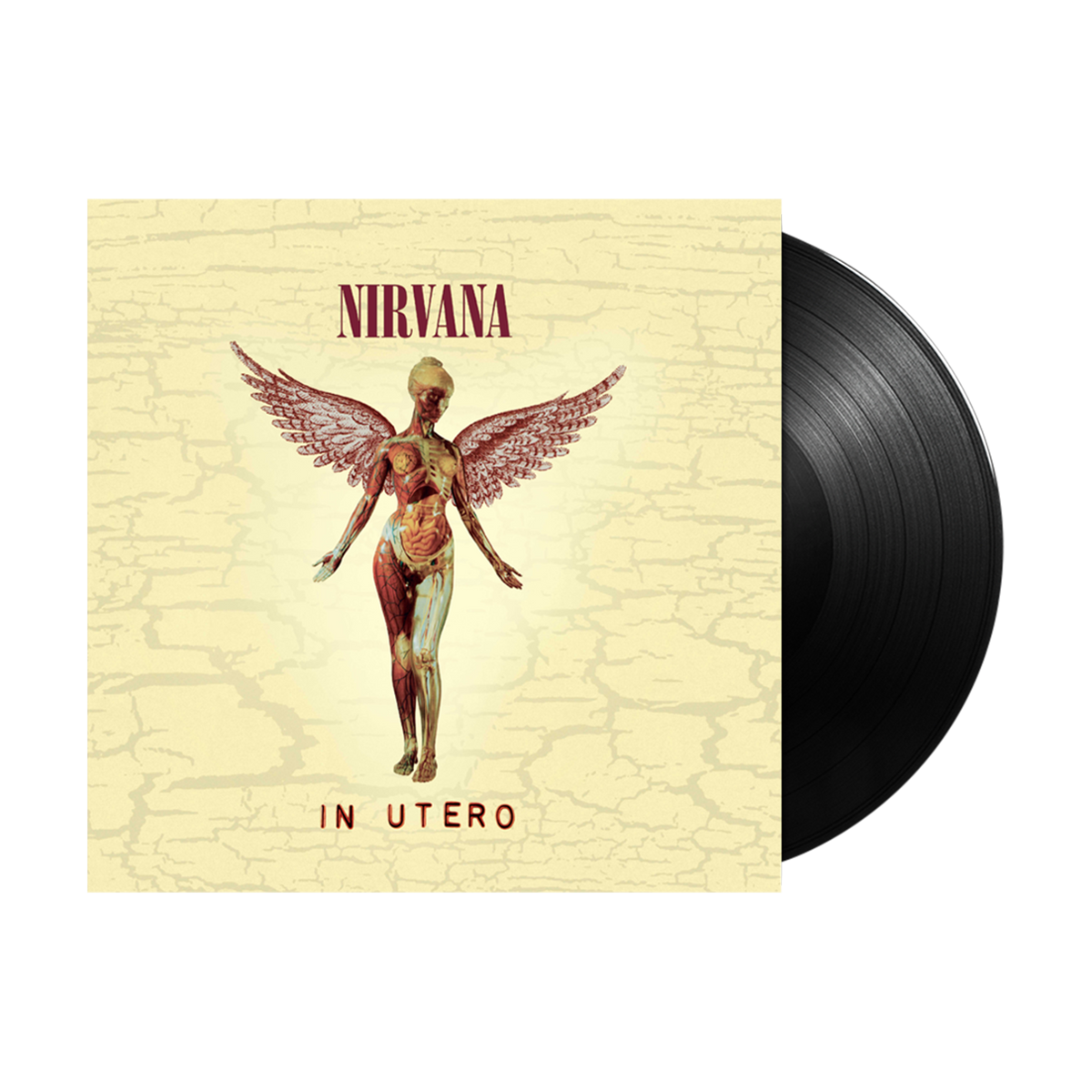 NIRVANA 『IN UTERO』LP US-ORIGINAL盤 クリア NIRVANA - IN UTERO - LIMITED EDITION - VINYL LP – Rock & Roll Hall
