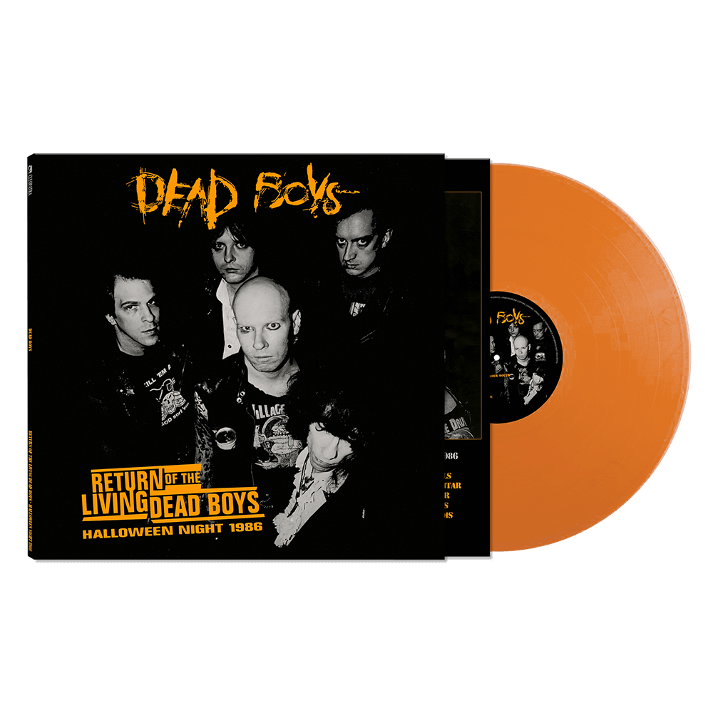 RETURN OF THE LIVING DEAD BOYS: HALLOWEEN NIGHT 1986