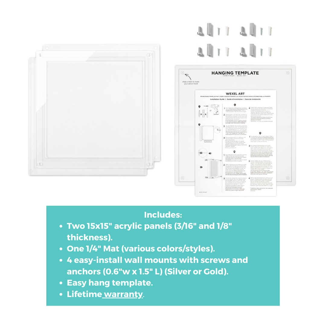 SET OF 9 RECORD DISPLAY FRAMES
