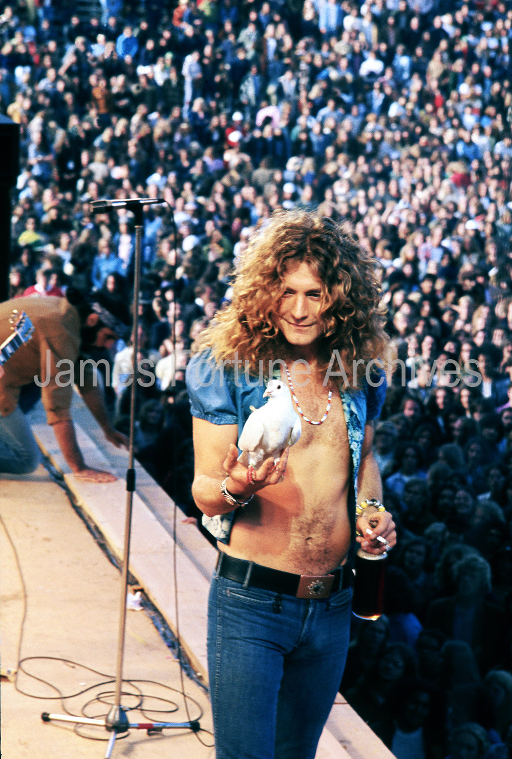 LED ZEPPELIN - ROBERT PLANT - KEZAR STADIUM - SAN FRANCISCO - 1973