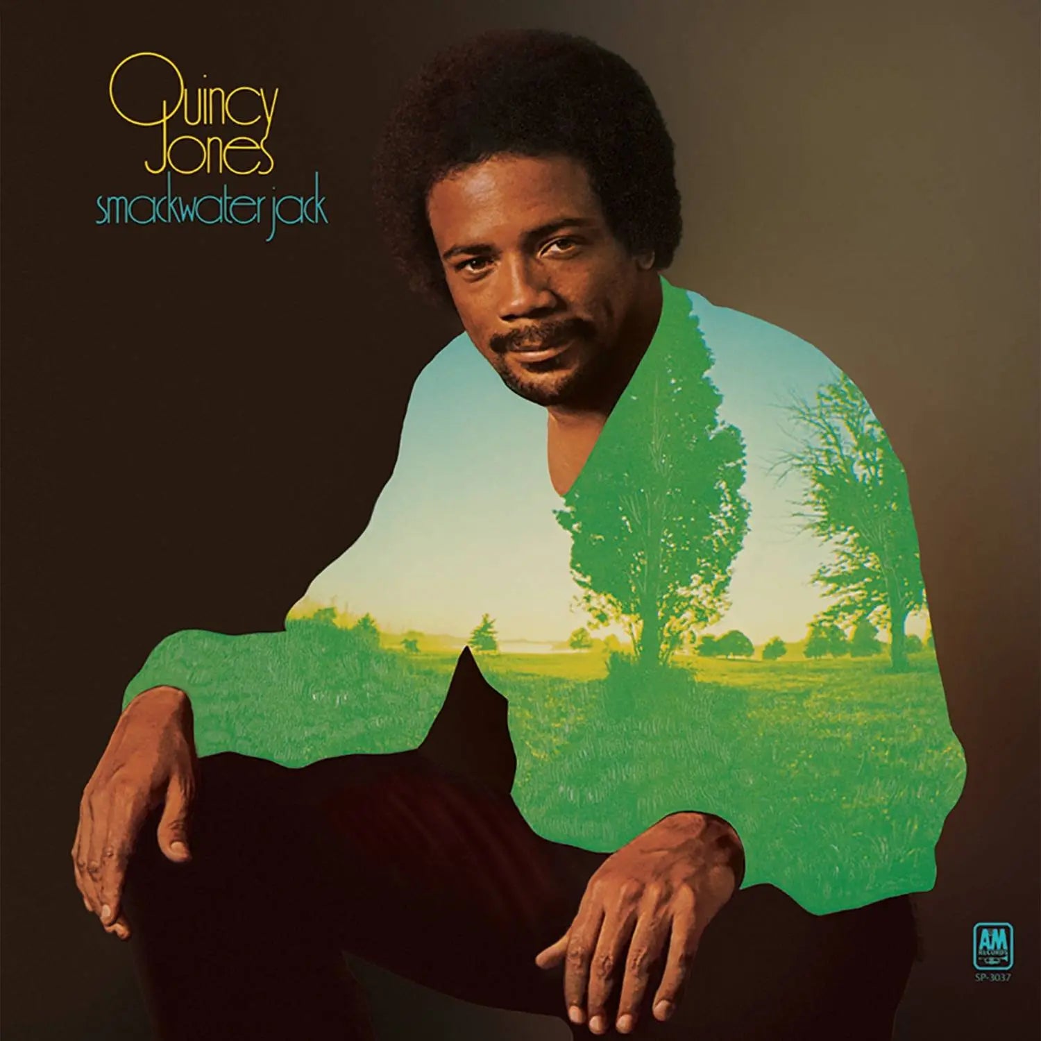 QUINCY JONES - SMACKWATER JACK - VINYL LP