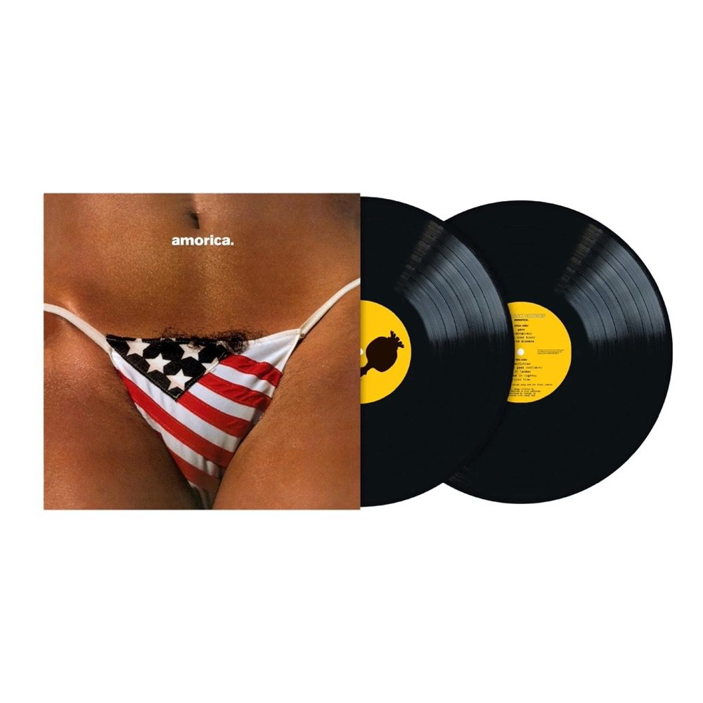 THE BLACK CROWES - AMORICA. - 2-LP - VINYL LP