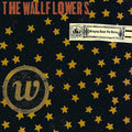 THE WALLFLOWERS - BRINGING DOWN THE HORSE - 2-LP - VINYL LP