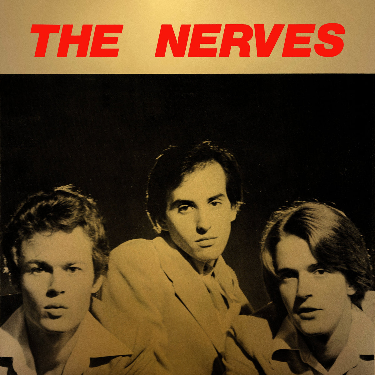 THE NERVES - BEST COLLECTION - 2-LP - VINYL LP