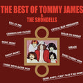 TOMMY JAMES & THE SHONDELLS - THE BEST OF TOMMY JAMES & THE SHONDELLS - RED COLOR - VINYL LP