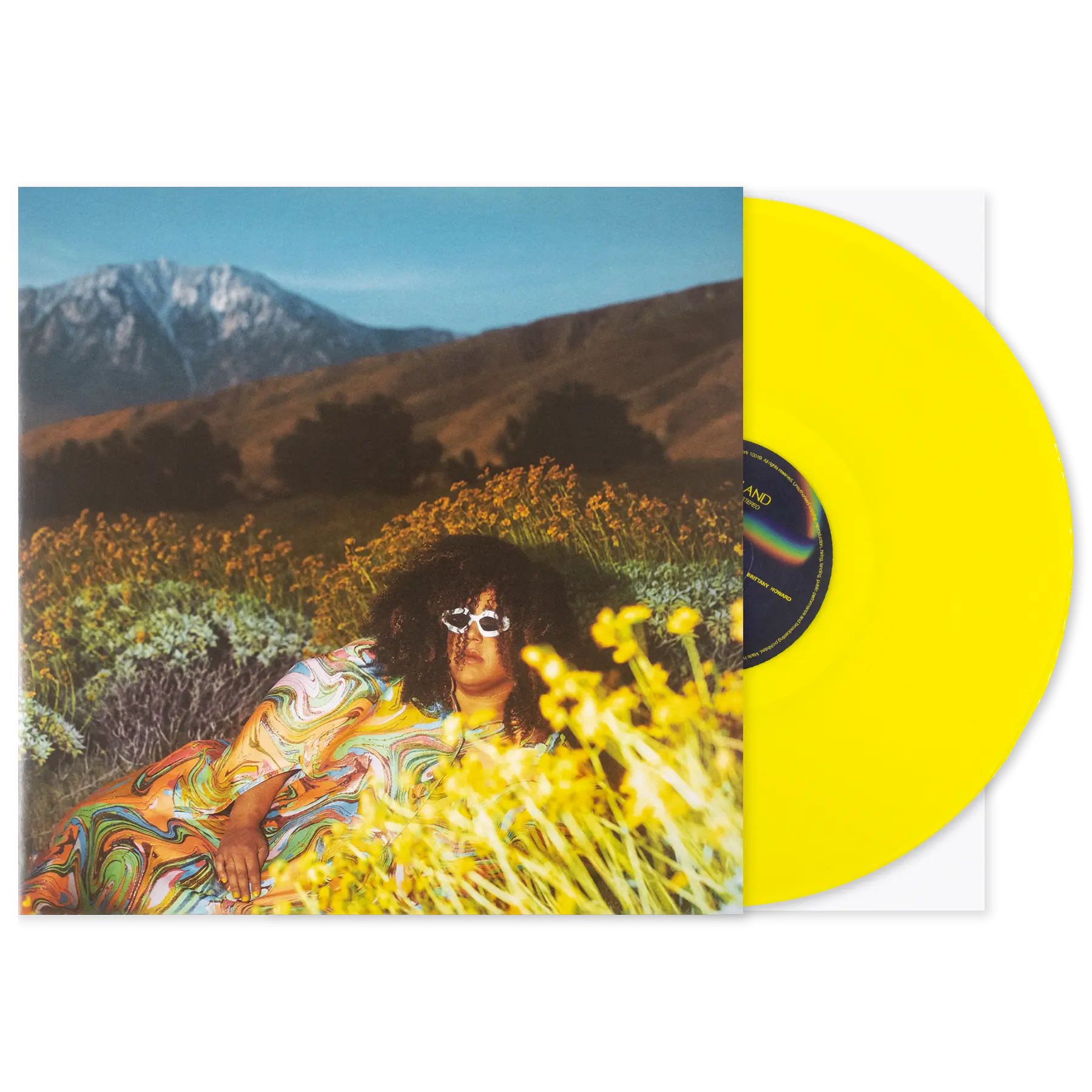 BRITTANY HOWARD WHAT NOW VINYL