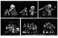 Janis Joplin y Tina Turner, Multi en el Madison Square Garden, 11 de febrero de 1969