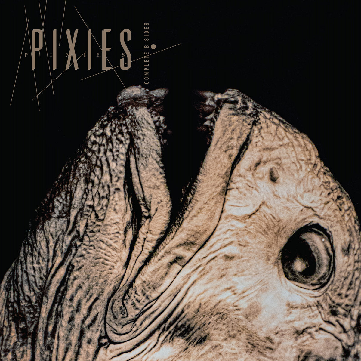 PIXIES - COMPLETE B SIDES: 1988-1997 - 2-LP - VINYL LP