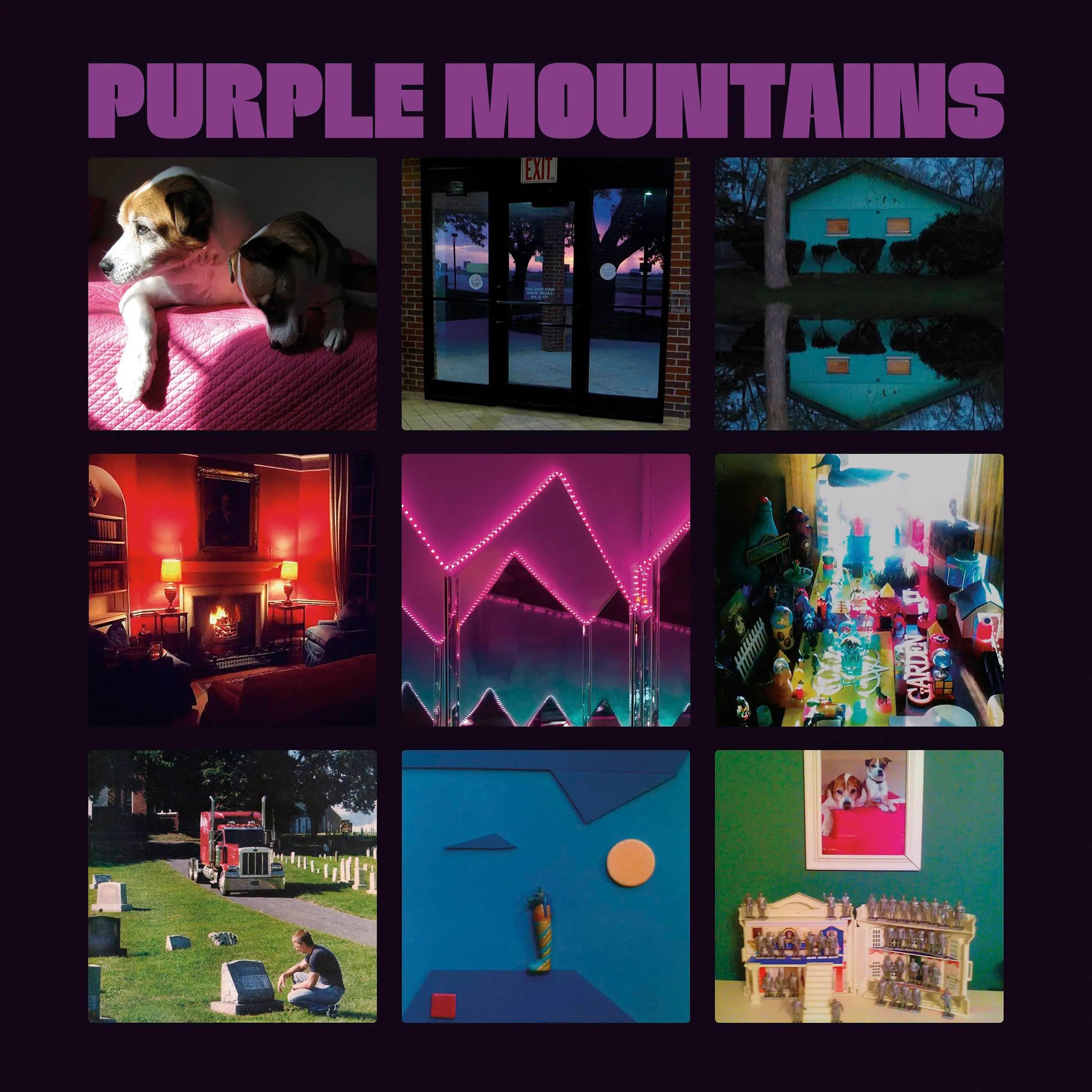 PURPLE MOUNTAINS - PURPLE MOUNTAINS - VINYL LP