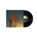 BOYGENIUS - THE RECORD - VINYL LP