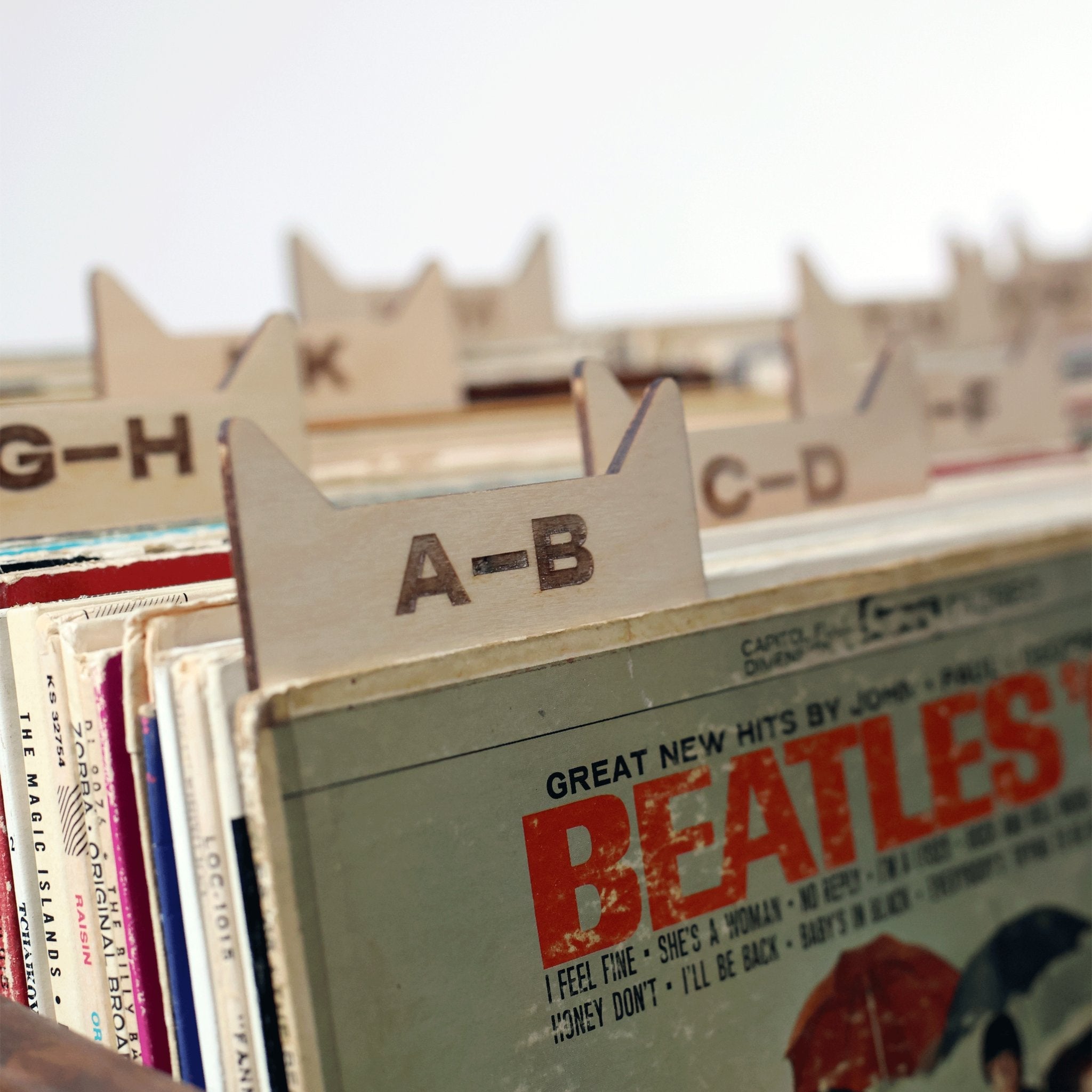 WICKERWOODWORKS - THE VINYL RECORD DIVIDERS