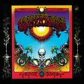 GRATEFUL DEAD - AOXOMOXOA - LP DE VINILO