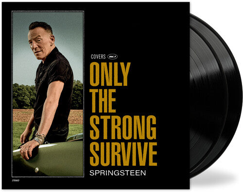 BRUCE SPRINGSTEEN - ONLY THE STRONG SURVIVE - 2-LP - VINYL LP