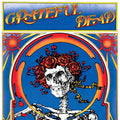 GRATEFUL DEAD - GRATEFUL DEAD (SKULL &amp; ROSES) - 2-LP - LP DE VINILO