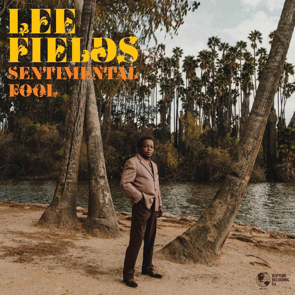 LEE FIELDS - SENTIMENTAL FOOL - VINYL LP