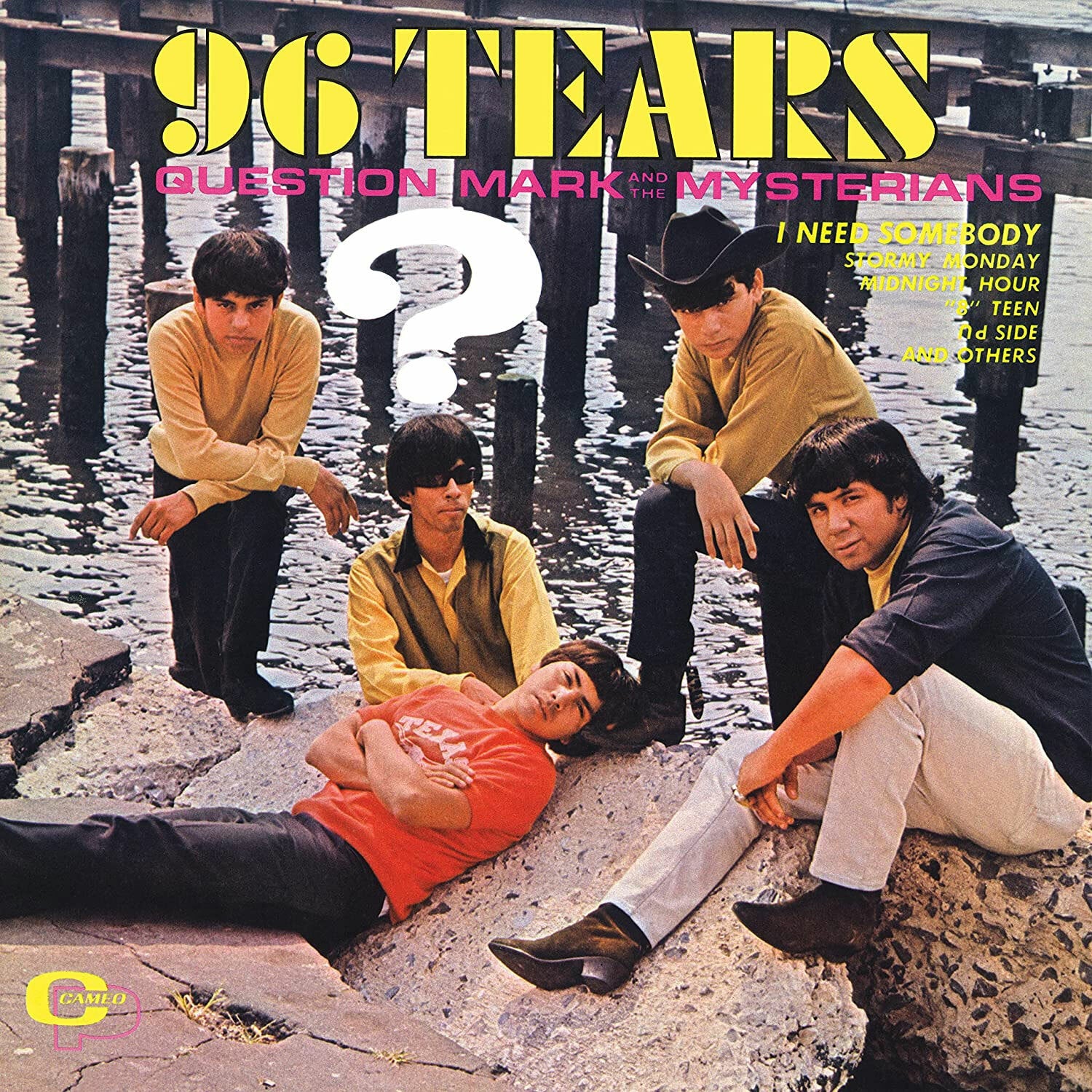 QUESTION MARK AND THE MYSTERIANS - 96 TEARS - VINYL LP