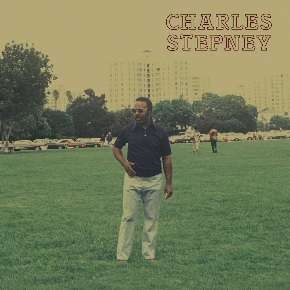 CHARLES STEPNEY - STEP ON STEP - 2-LP - VINYL LP